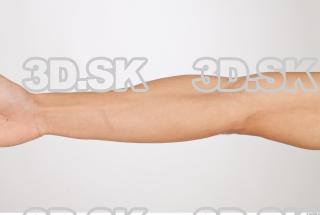 Forearm texture of Rufus 0001